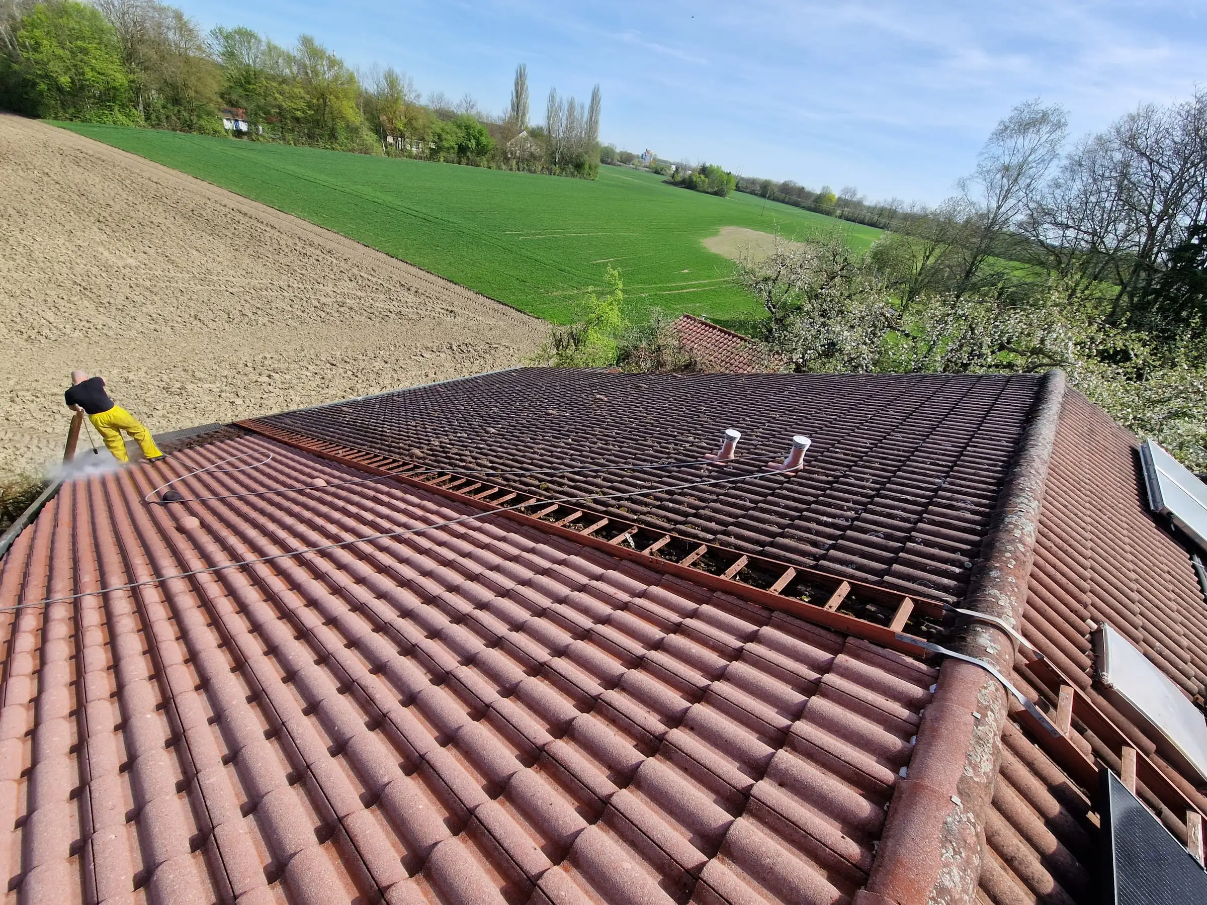 Dachreinigung in Arbeit, halb gereinigtes Ziegeldach
